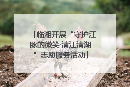临湘开展“守护江豚的微笑·清江清湖”志愿服务活动