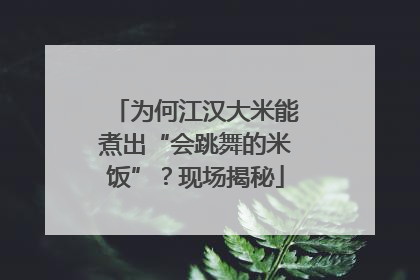 为何江汉大米能煮出“会跳舞的米饭”？现场揭秘