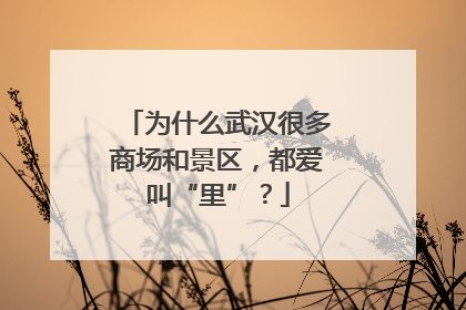 为什么武汉很多商场和景区，都爱叫“里”？