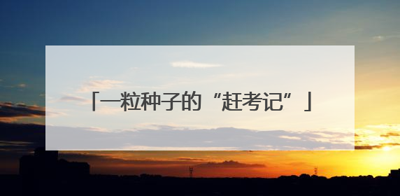 一粒种子的“赶考记”