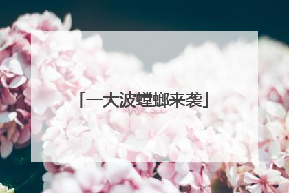 一大波螳螂来袭