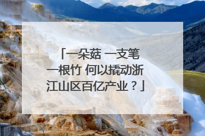 一朵菇 一支笔 一根竹 何以撬动浙江山区百亿产业？
