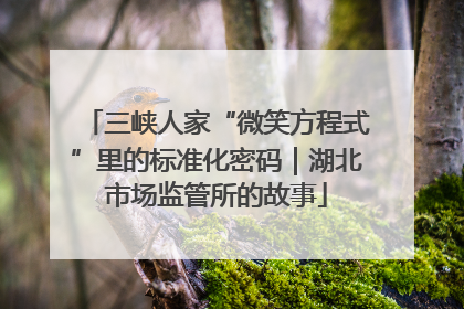 三峡人家“微笑方程式”里的标准化密码｜湖北市场监管所的故事