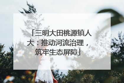 三明大田桃源镇人大：推动河流治理，筑牢生态屏障