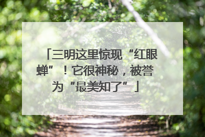 三明这里惊现“红眼蝉”！它很神秘，被誉为“最美知了”