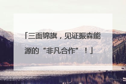 三面锦旗，见证振森能源的“非凡合作”！