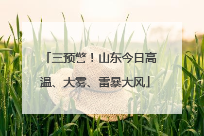 三预警！山东今日高温、大雾、雷暴大风