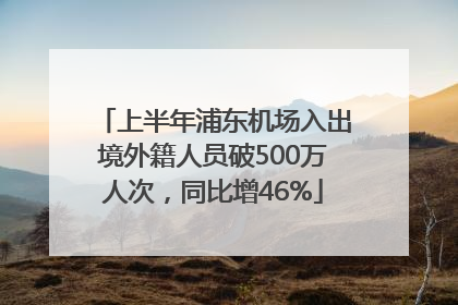 上半年浦东机场入出境外籍人员破500万人次，同比增46%