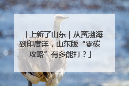 上新了山东｜从黄渤海到印度洋，山东版“零碳攻略”有多能打？