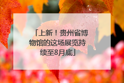 上新！贵州省博物馆的这场展览持续至8月底