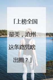 上榜全国最美，沧州这条路凭啥出圈？