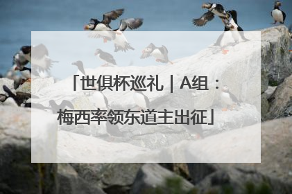 世俱杯巡礼｜A组：梅西率领东道主出征