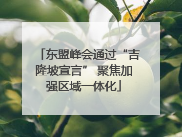 东盟峰会通过“吉隆坡宣言” 聚焦加强区域一体化