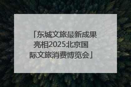 东城文旅最新成果亮相2025北京国际文旅消费博览会