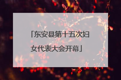 东安县第十五次妇女代表大会开幕