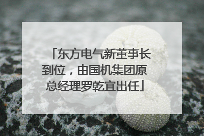 东方电气新董事长到位，由国机集团原总经理罗乾宜出任
