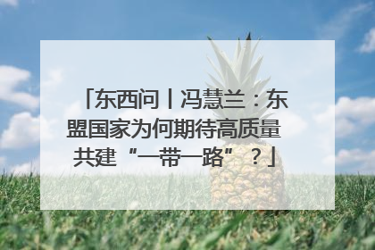 东西问丨冯慧兰：东盟国家为何期待高质量共建“一带一路”？
