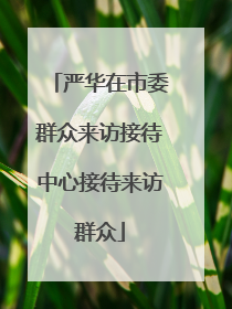 严华在市委群众来访接待中心接待来访群众
