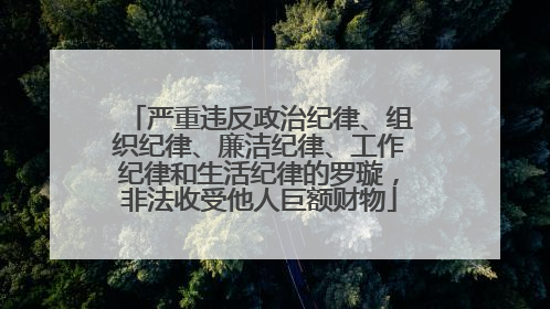 严重违反政治纪律、组织纪律、廉洁纪律、工作纪律和生活纪律的罗璇，非法收受他人巨额财物
