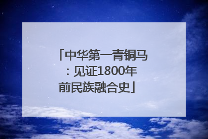 中华第一青铜马：见证1800年前民族融合史