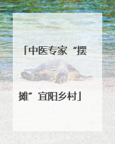 中医专家“摆摊”宜阳乡村