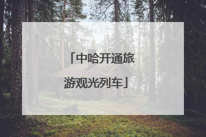 中哈开通旅游观光列车