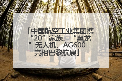 中国航空工业集团携“20”家族、“翼龙”无人机、AG600亮相巴黎航展