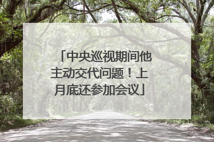 中央巡视期间他主动交代问题！上月底还参加会议