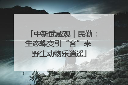 中新武威观｜民勤：生态蝶变引“客”来 野生动物乐逍遥
