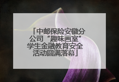 中邮保险安徽分公司“趣味画室”学生金融教育安全活动圆满落幕