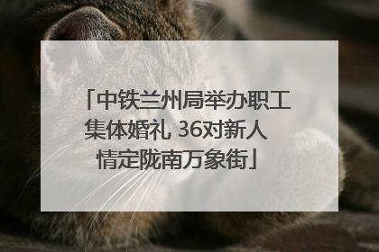 中铁兰州局举办职工集体婚礼 36对新人情定陇南万象街