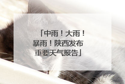 中雨！大雨！暴雨！陕西发布重要天气报告