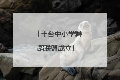 丰台中小学舞蹈联盟成立
