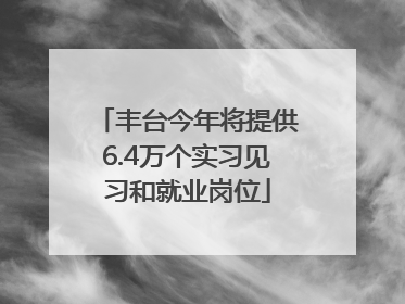 丰台今年将提供6.4万个实习见习和就业岗位