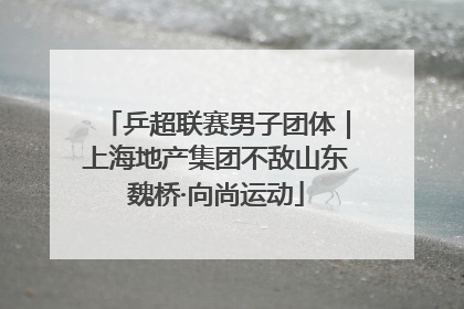 乒超联赛男子团体｜上海地产集团不敌山东魏桥·向尚运动