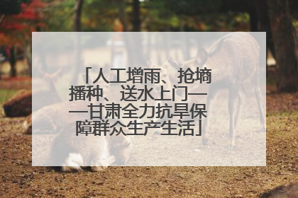 人工增雨、抢墒播种、送水上门——甘肃全力抗旱保障群众生产生活