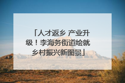 人才返乡 产业升级！李海务街道绘就乡村振兴新图景