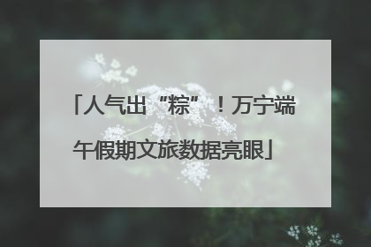 人气出“粽”！万宁端午假期文旅数据亮眼