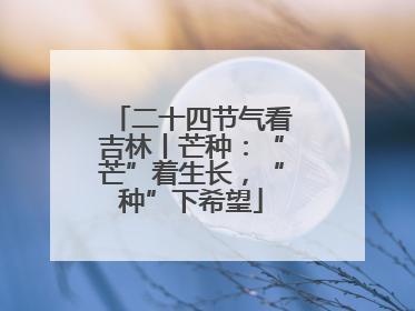 二十四节气看吉林丨芒种：“芒”着生长，“种”下希望