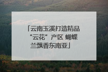 云南玉溪打造精品“云花”产区 蝴蝶兰飘香东南亚