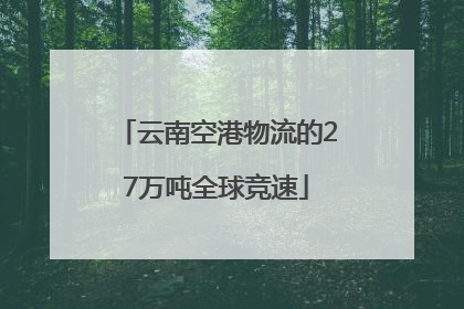 云南空港物流的27万吨全球竞速