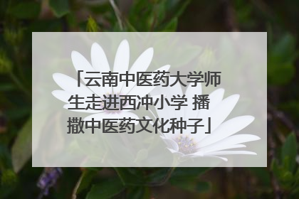 云南中医药大学师生走进西冲小学 播撒中医药文化种子