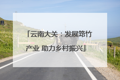 云南大关：发展筇竹产业 助力乡村振兴