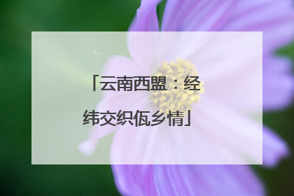 云南西盟：经纬交织佤乡情