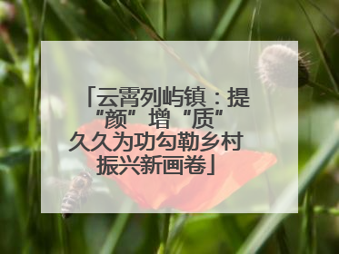 云霄列屿镇：提“颜”增“质” 久久为功勾勒乡村振兴新画卷