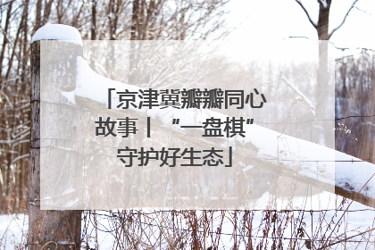 京津冀瓣瓣同心故事丨“一盘棋”守护好生态