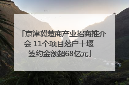 京津冀楚商产业招商推介会 11个项目落户十堰 签约金额超68亿元
