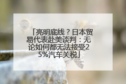 亮明底线？日本贸易代表赴美谈判：无论如何都无法接受25%汽车关税