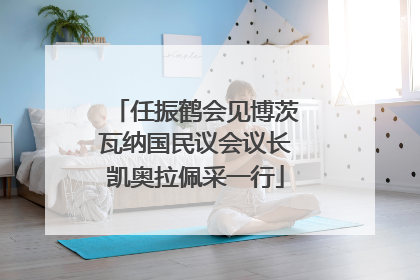 任振鹤会见博茨瓦纳国民议会议长凯奥拉佩采一行