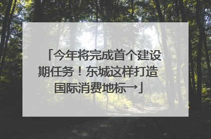 今年将完成首个建设期任务！东城这样打造国际消费地标→